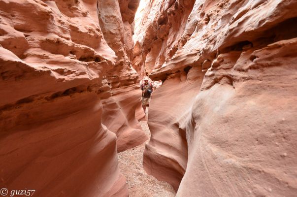 Herbert im Slotcanyon
