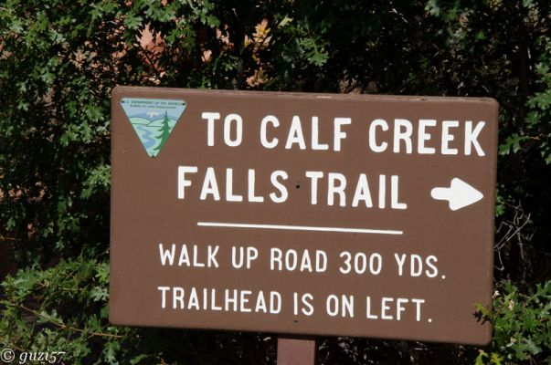 Lower Calf Creek
