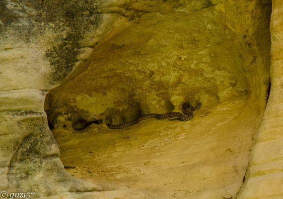 Lower Calf Creek Fall
