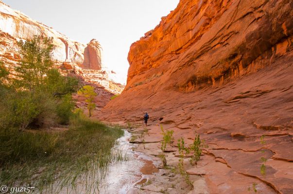 Coyote Gulch
