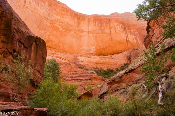 rote Felsenwand
