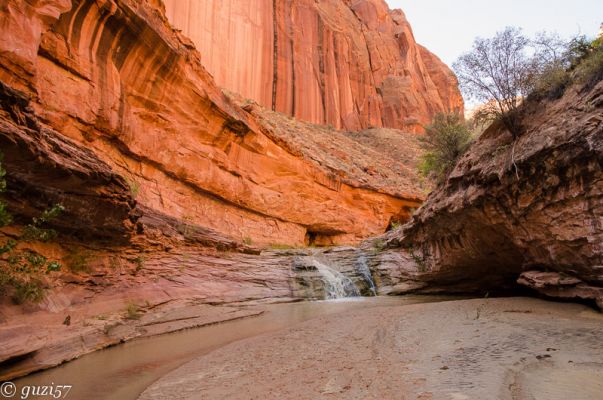 Coyote Gulch

