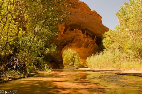 Coyote Natural Bridge

