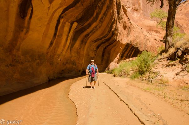 Herbert im Coyote Gulch 
