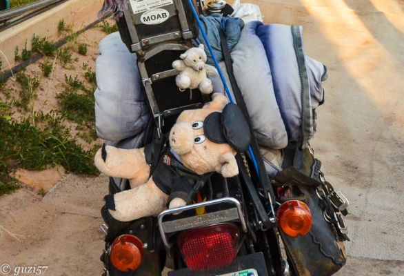 Motorrad Teddy
