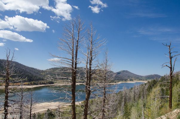 Navajo Lake
