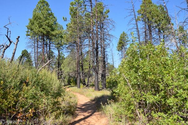 East Mesa Trail
