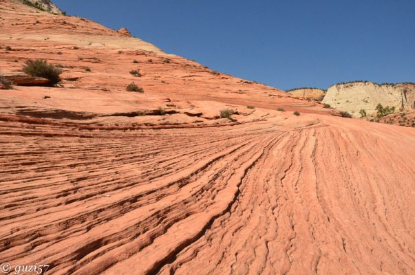 Slickrock in Zion
