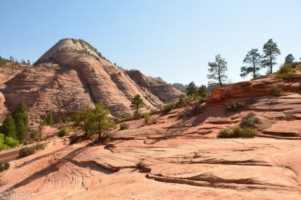 Slickrock in Zion
