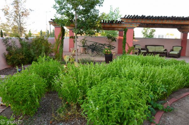 Garten im La Posada Hotel
