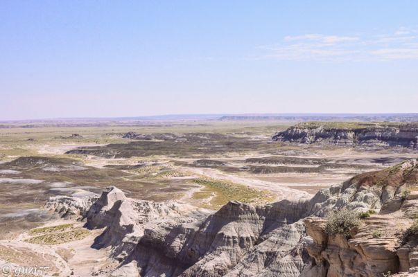 Blue Mesa
