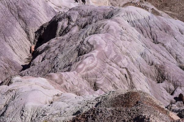 Blue Mesa
