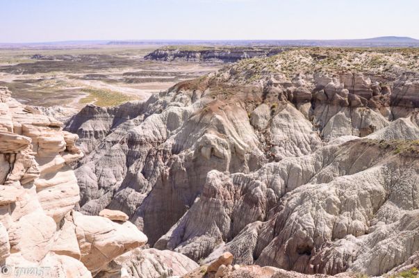 Blue Mesa
