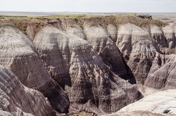 Blue Mesa
