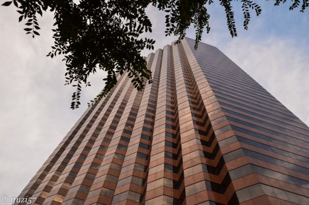 Skyscraper
