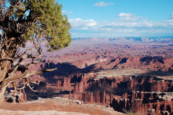 Canyonlands
