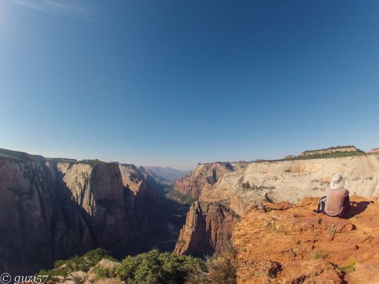 Observation Point 
