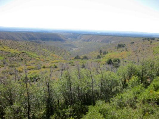 Mesa Verde Canyon
