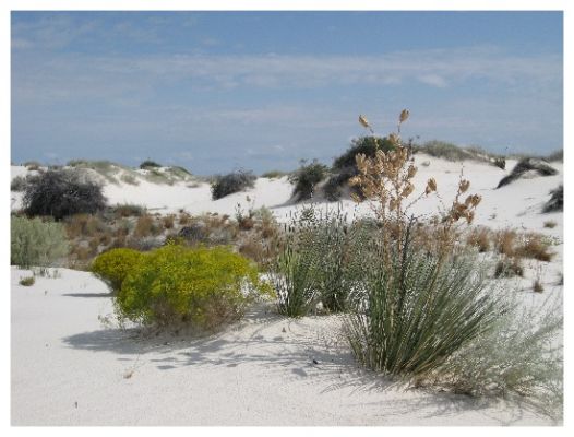 Gipsdunes
