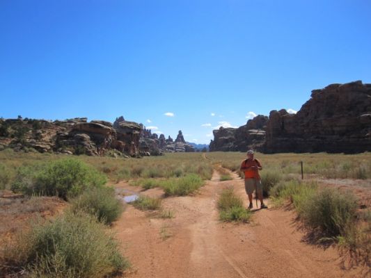 Needles District
