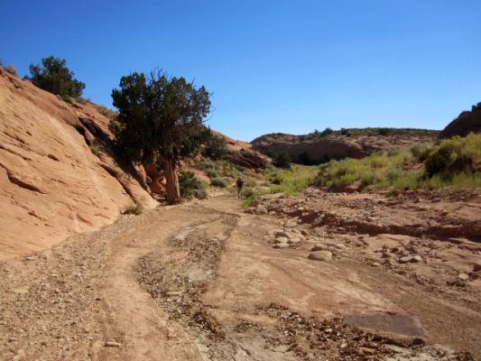 Dry Fork Canyon
