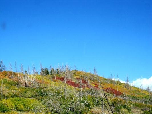 Herbst in Mesa Verde

