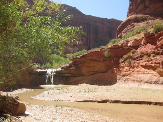 Coyote Gulch
