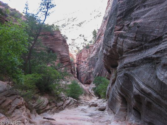 Observation Point Trail
