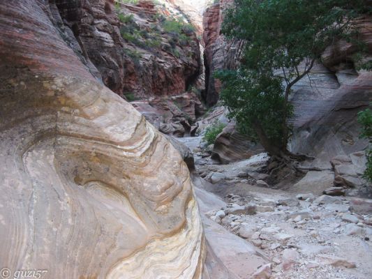 Observation Point Trail
