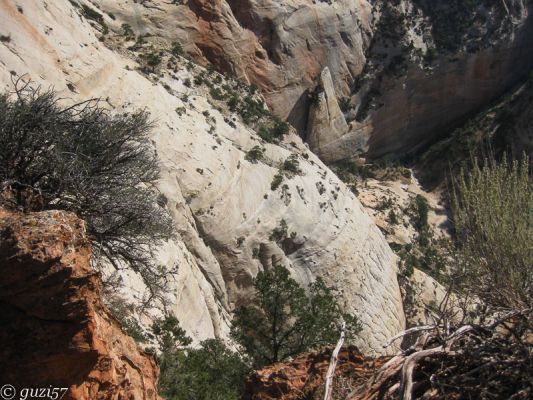 Blick in die Tiefe vom Observation Point Trail
