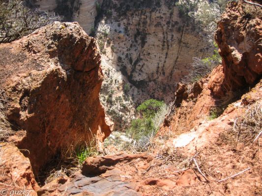 Blick in die Tiefe vom Observation Point Trail
