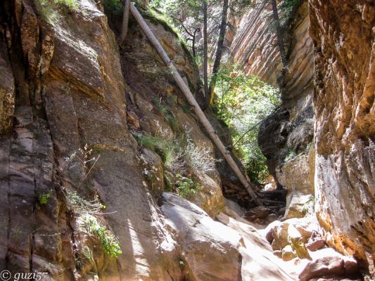 Hidden Canyon 
