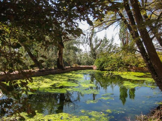 Pipe Springs Teich
