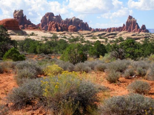 Needles District
