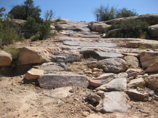 4.4Trail
