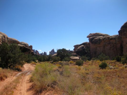 Needles District
