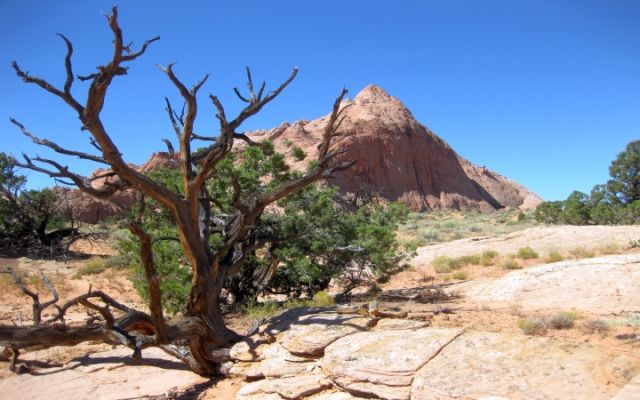 Moqui Hill
