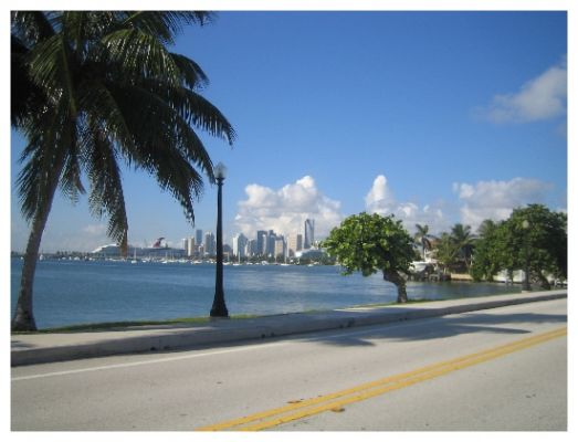 Downdown Miami
