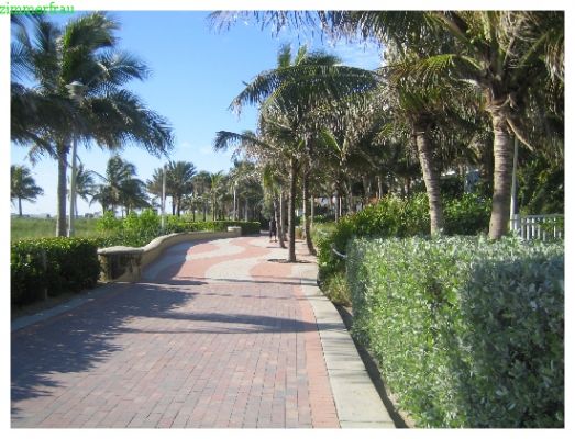 Beach Walk
