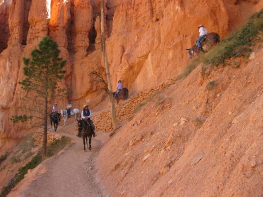 Navajo Loop
