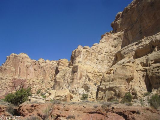 Little White Horse and Bell Canyon Looptrail
