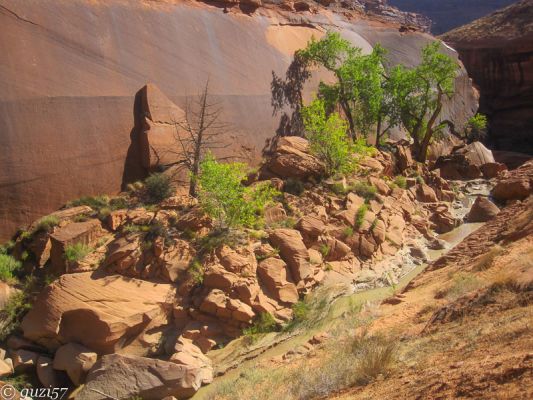 Coyote Gulch
