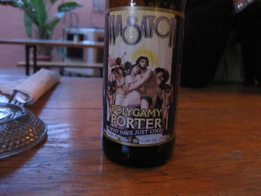 Poligamyporter

