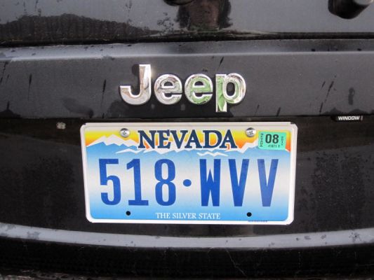 Nevada Blacky
