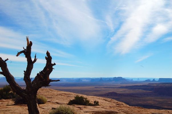 Mule Point Overlook
