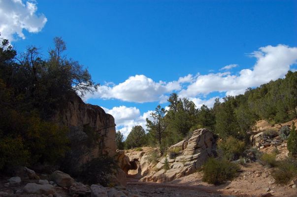 Willis Creek
