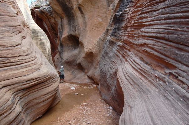 Willis Creek Narrows
