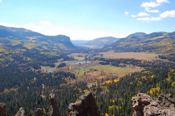 Viewpoint
