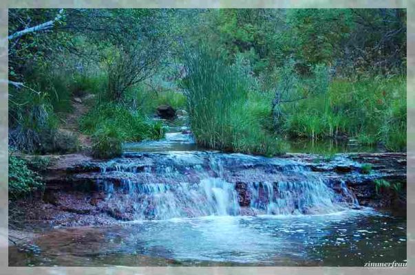 North Creek Rapids

