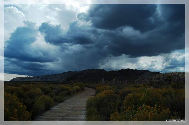 Wolken am Mono Lake
